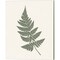 Forest Shadows Green on Cream by Moira Hershey 12" x 15" Canvas Wall Art (Set of 2)